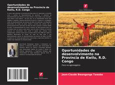 Oportunidades de desenvolvimento na Província de Kwilu, R.D. Congo kitap kapağı