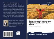 Возможности развития в провинции Квилу, Д.Р. Конго kitap kapağı