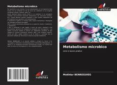 Copertina di Metabolismo microbico