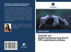 Technik zur Bodenverbesserung durch PPF-stabilisierte Böden的封面
