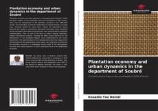 Bookcover of Plantation economy and urban dynamics in the department of Soubré