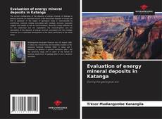 Couverture de Evaluation of energy mineral deposits in Katanga