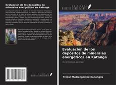 Portada del libro de Evaluación de los depósitos de minerales energéticos en Katanga