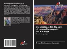 Capa do livro de Valutazione dei depositi di minerali energetici nel Katanga 