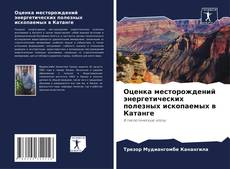 Capa do livro de Оценка месторождений энергетических полезных ископаемых в Катанге 