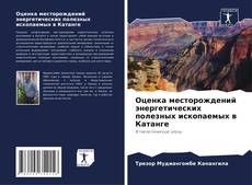 Couverture de Оценка месторождений энергетических полезных ископаемых в Катанге