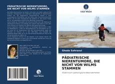 Bookcover of PÄDIATRISCHE NIERENTUMORE, DIE NICHT VON WILMS STAMMEN