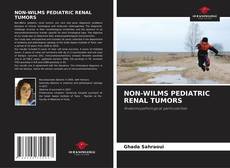 Обложка NON-WILMS PEDIATRIC RENAL TUMORS