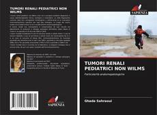Copertina di TUMORI RENALI PEDIATRICI NON WILMS