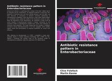 Portada del libro de Antibiotic resistance pattern in Enterobacteriaceae