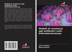 Bookcover of Modelli di resistenza agli antibiotici nelle Enterobacteriaceae