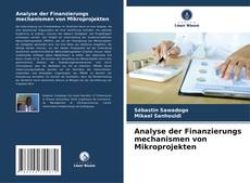 Copertina di Analyse der Finanzierungs mechanismen von Mikroprojekten