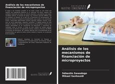 Buchcover von Análisis de los mecanismos de financiación de microproyectos