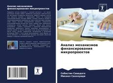 Bookcover of Анализ механизмов финансирования микропроектов