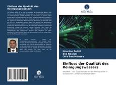 Einfluss der Qualität des Reinigungswassers的封面