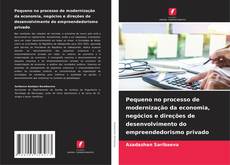 Capa do livro de Pequeno no processo de modernização da economia, negócios e direções de desenvolvimento do empreendedorismo privado 