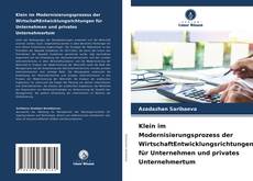 Klein im Modernisierungsprozess der WirtschaftEntwicklungsrichtungen für Unternehmen und privates Unternehmertum的封面