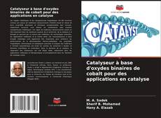 Borítókép a  Catalyseur à base d'oxydes binaires de cobalt pour des applications en catalyse - hoz