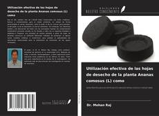 Bookcover of Utilización efectiva de las hojas de desecho de la planta Ananas comosus (L) como