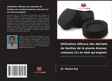 Borítókép a  Utilisation efficace des déchets de feuilles de la plante Ananas comosus (L) en tant qu'engrais - hoz