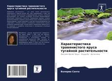 Buchcover von Характеристика травянистого яруса тугайной растительности