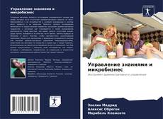 Buchcover von Управление знаниями и микробизнес