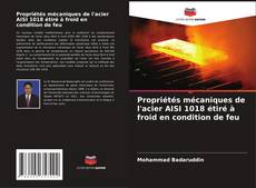 Borítókép a  Propriétés mécaniques de l'acier AISI 1018 étiré à froid en condition de feu - hoz