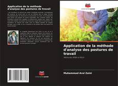 Copertina di Application de la méthode d'analyse des postures de travail