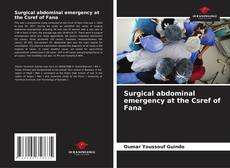 Bookcover of Surgical abdominal emergency at the Csref of Fana