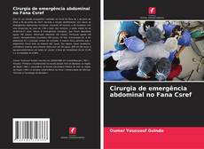 Bookcover of Cirurgia de emergência abdominal no Fana Csref