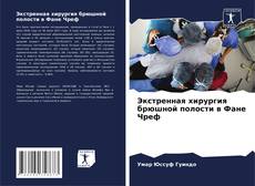 Bookcover of Экстренная хирургия брюшной полости в Фане Чреф
