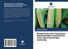 Portada del libro de Bewertung von tropischen Maishybriden hinsichtlich ihrer agronomischen Leistung