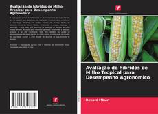 Portada del libro de Avaliação de híbridos de Milho Tropical para Desempenho Agronómico