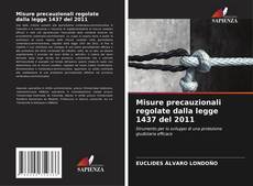 Bookcover of Misure precauzionali regolate dalla legge 1437 del 2011
