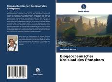 Bookcover of Biogeochemischer Kreislauf des Phosphors