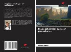 Bookcover of Biogeochemical cycle of phosphorus