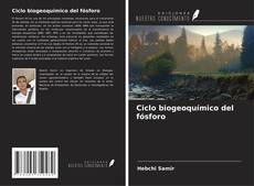 Buchcover von Ciclo biogeoquímico del fósforo