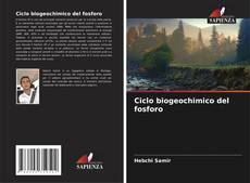 Обложка Ciclo biogeochimico del fosforo
