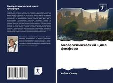 Bookcover of Биогеохимический цикл фосфора