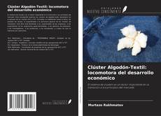 Capa do livro de Clúster Algodón-Textil: locomotora del desarrollo económico 