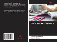 Bookcover of The academic underworld