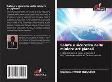 Salute e sicurezza nelle miniere artigianali kitap kapağı