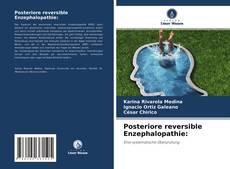 Bookcover of Posteriore reversible Enzephalopathie: