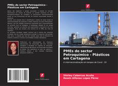 Capa do livro de PMEs do sector Petroquímico - Plásticos em Cartagena 