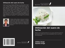 Buchcover von Utilización del suero de leche