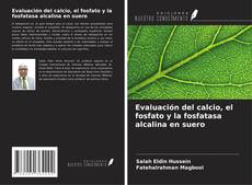 Copertina di Evaluación del calcio, el fosfato y la fosfatasa alcalina en suero