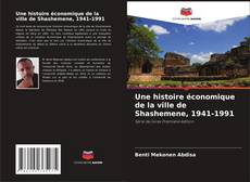 Bookcover of Une histoire économique de la ville de Shashemene, 1941-1991