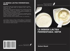 LA BEBIDA LÁCTEA FERMENTADA: KEFIR kitap kapağı