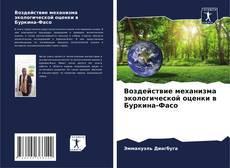 Bookcover of Воздействие механизма экологической оценки в Буркина-Фасо