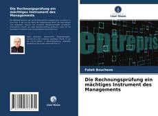 Обложка Die Rechnungsprüfung ein mächtiges Instrument des Managements